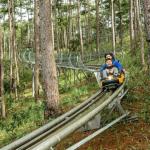 The 2400m Alpine Coaster Activities in Da Lat